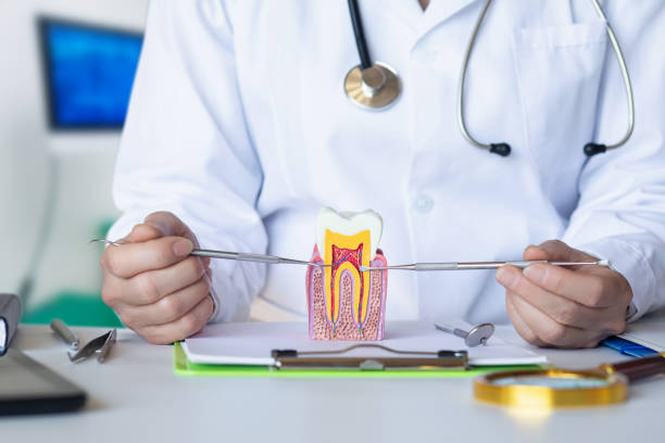 Best Emergency Dental Surgery in Springfield, MN